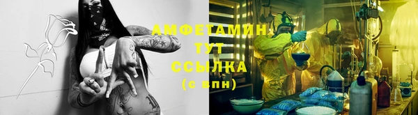ГАЛЛЮЦИНОГЕННЫЕ ГРИБЫ Алзамай