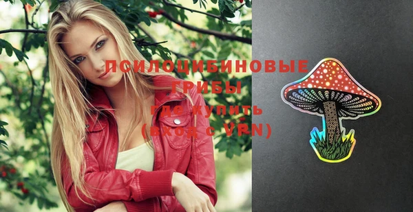 ГАЛЛЮЦИНОГЕННЫЕ ГРИБЫ Алзамай