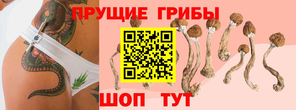 Светлоград  Галлюциногенные грибы GOLDEN TEACHER  Вход с VPN 